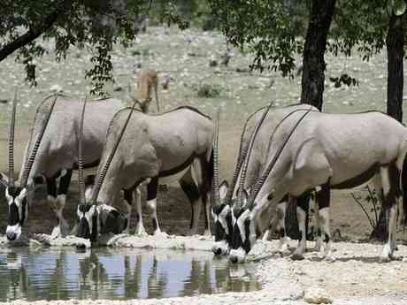 Classic Namibia